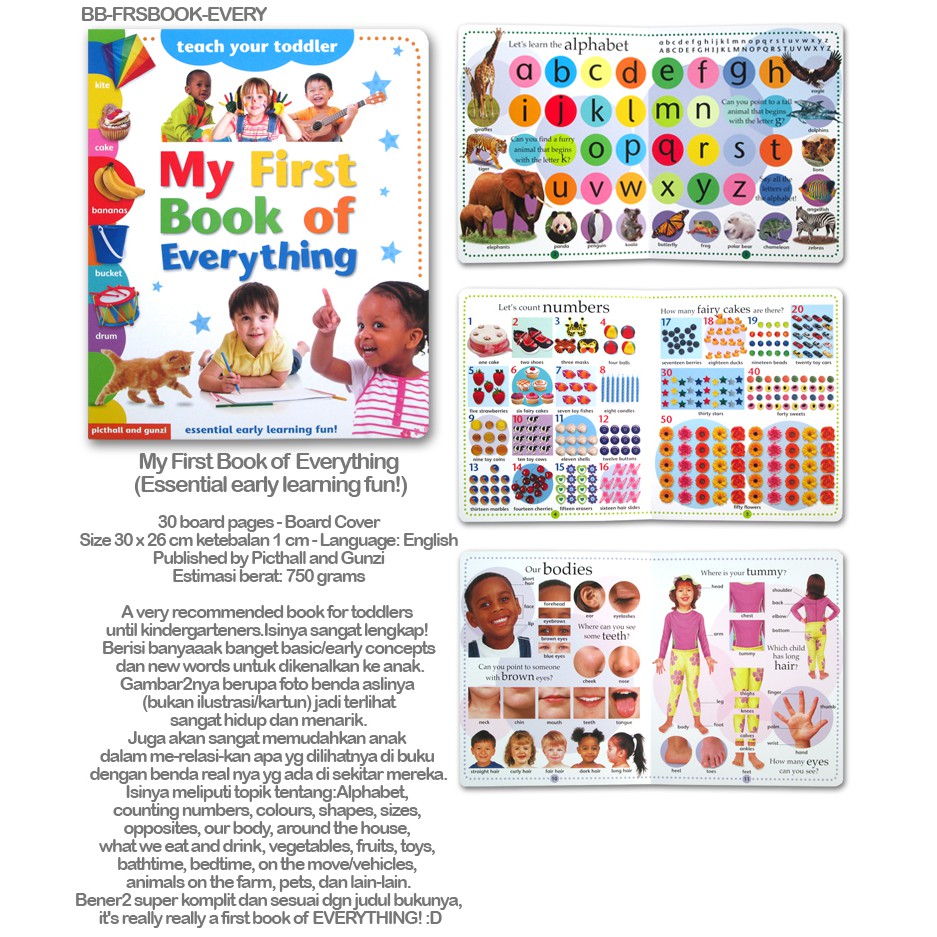 My First Book of Everything (Essential early learning fun)