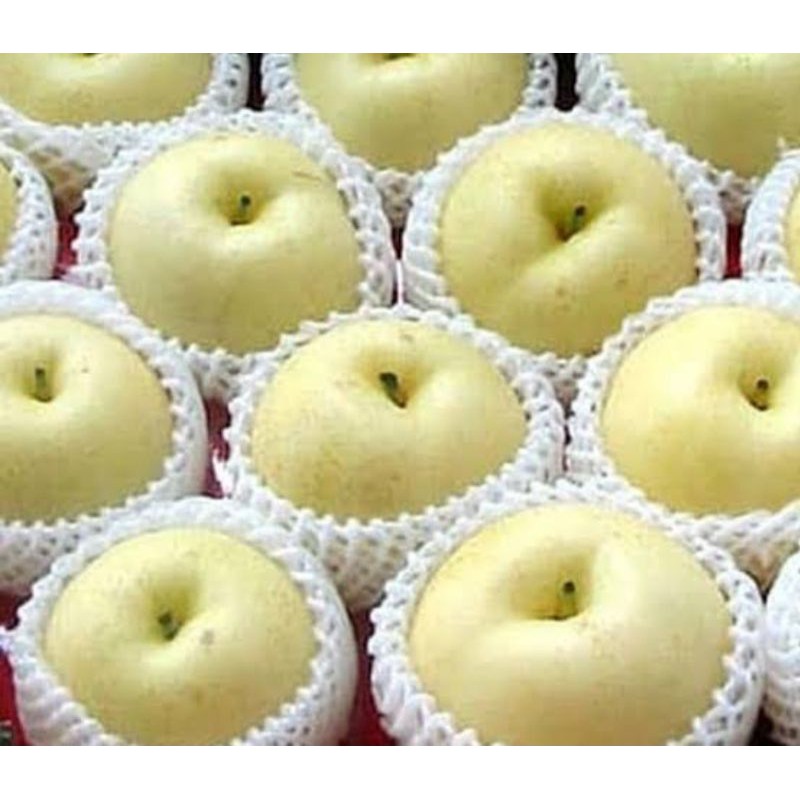 

Buah pear golden