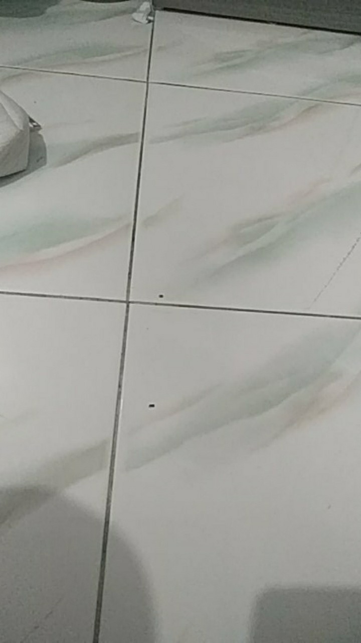 Cod - J2low - Partyhouse -set Pisau Dapur Knife Set 5in1 + Talenan Stainless Pisau Dapur 20cmx30cm