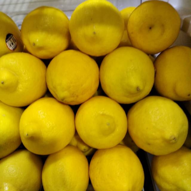 

Buah Lemon import|lemon import|buah lemon|buah lemon|buah segar|buah segar bandung