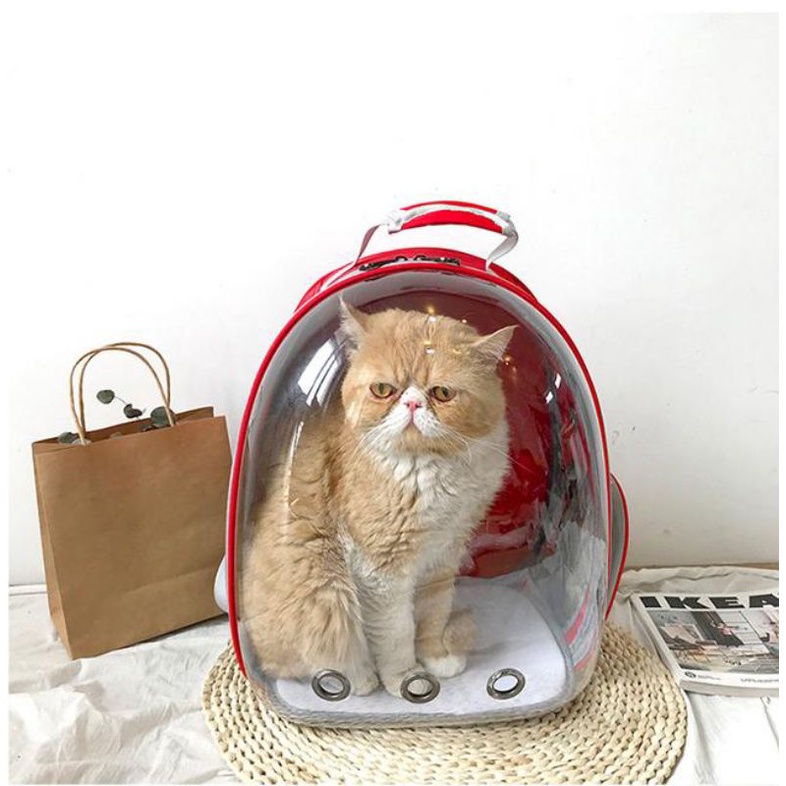 Tas Astronot kucing pet bag tas ransel hewan import