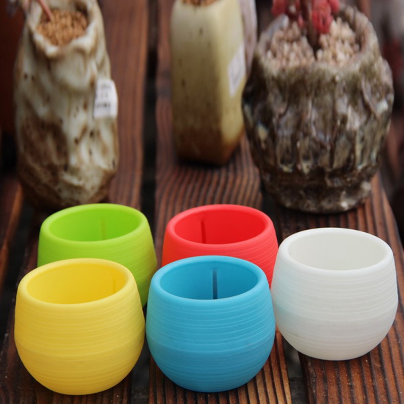 Pot Bunga Tanaman Mini dengan Bentuk Bulat dan Bahan Pot Bunga Tanaman Mini dengan Bentuk Bulat dan Bahan