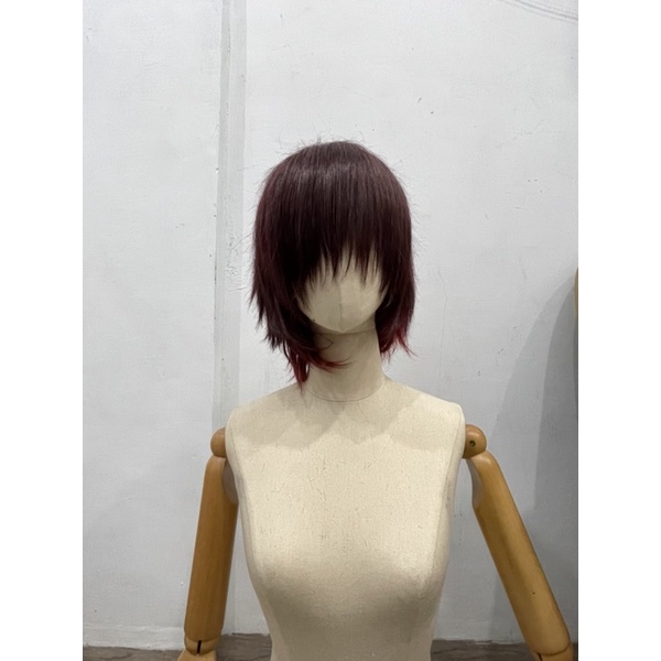 [RENTAL] Wig Gradasi Coklat Merah