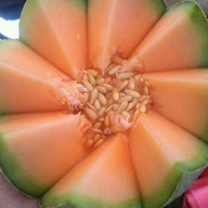 melon orange per/buah