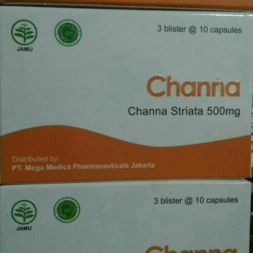 Channa Striata 500mg Ekstrak Ikan Gabus 30 kapsul