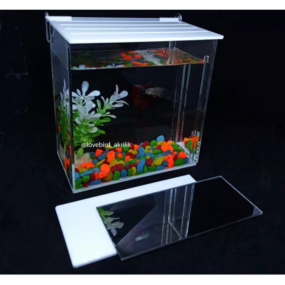 Jual Aquarium Mini Aquarium Akrilik Aquarium Ikan Hias Shopee