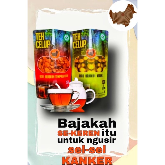 

Teh Herbal Bajakah