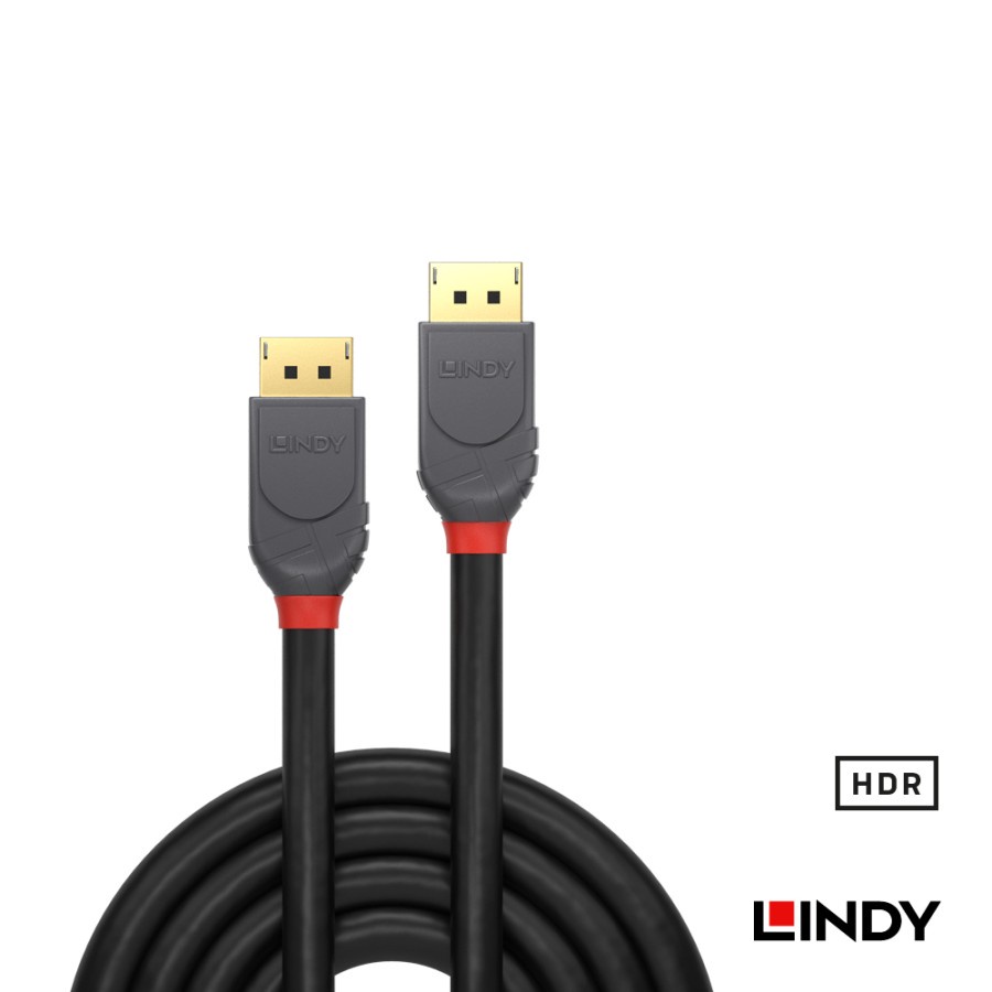 Kabel Display Port DP 1.4 to Port DP Male LINDY 8K Cable - 3648x