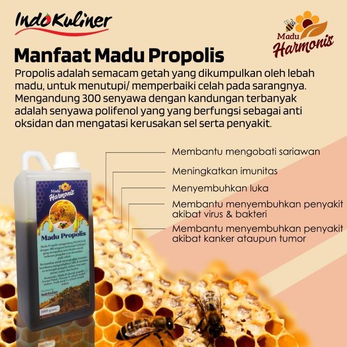 

Harmonis Madu Propolis 1Kg 1000Gr ASLI By Indokuliner