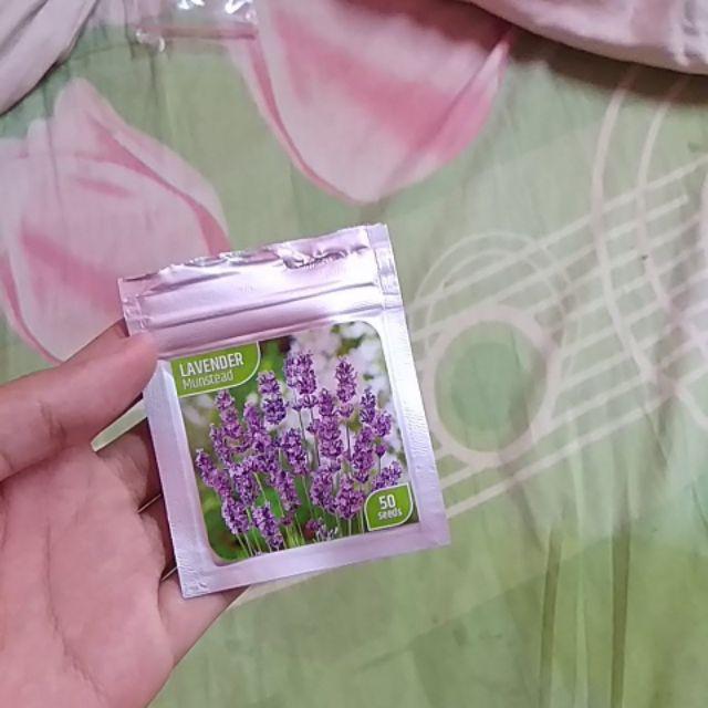 Benih Lavender Munstead 50 Biji – Kemasan Foil