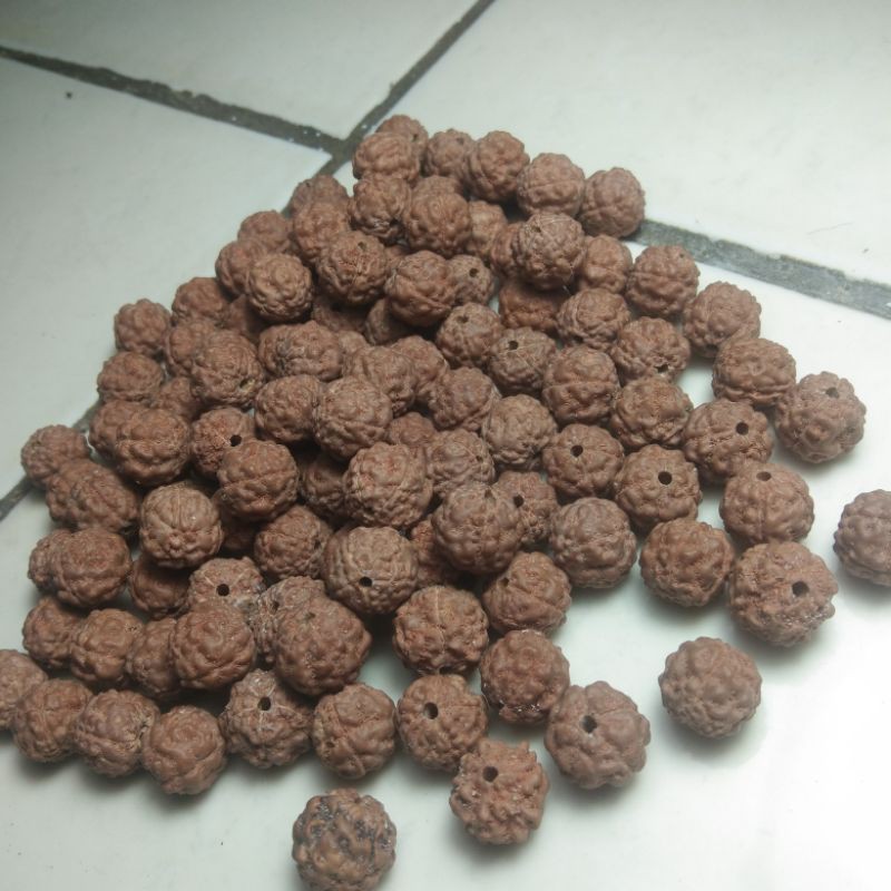 jenitri rudraksha 1000 butir