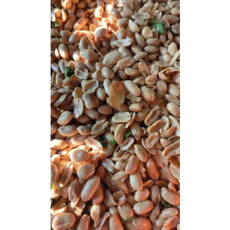

kacang mentega
