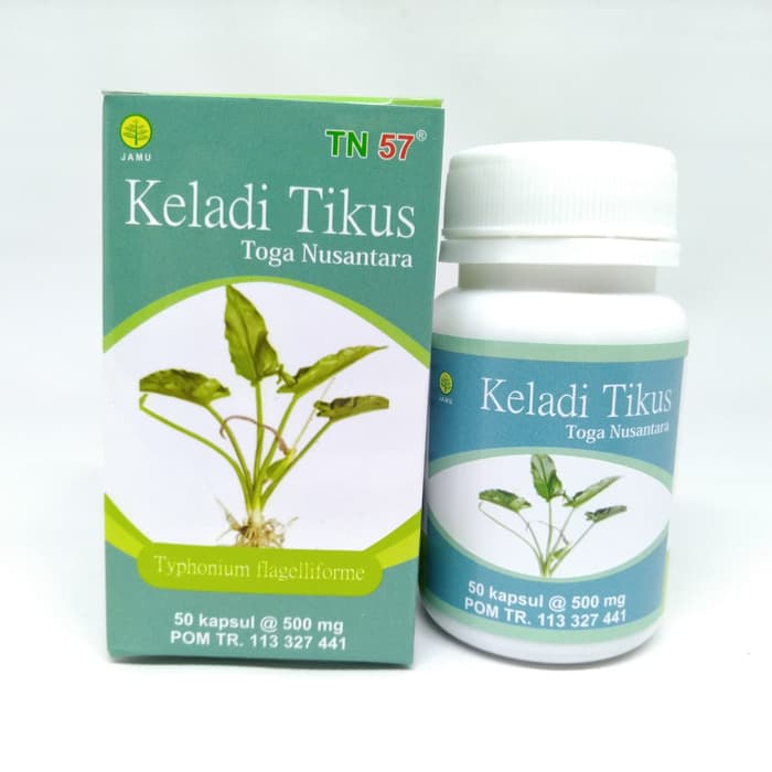 ekstrak Kapsul keladi tikus Toga Nusantara 50 kapsul herbal kangker tumor