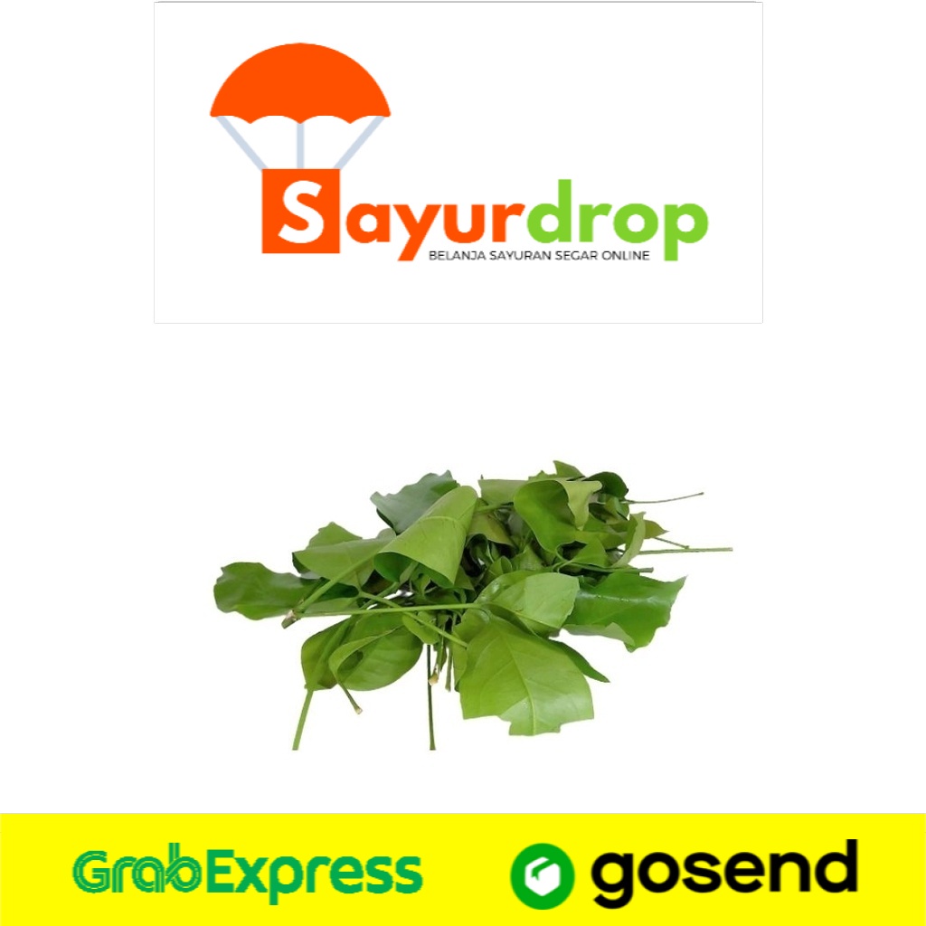 

DAUN Melinjo/Tangkil 30 Gr - Segar Higienis Murah Cepat - Instant/Same Day Delivery (Sayurdrop)