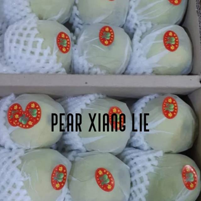 

Pear Xianglie