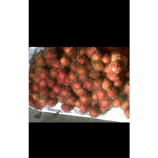 

Rambutan manis masem