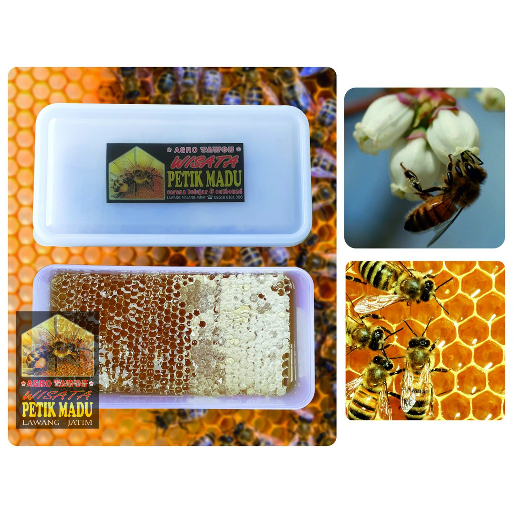 

Madu Sarang Honey Comb Fresh Honey 500 gram