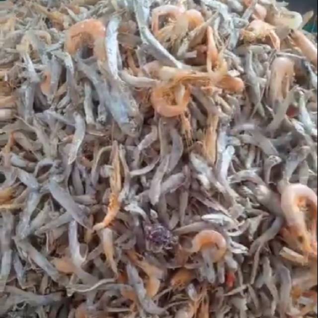 

Ikan sampah campur (ikan kabu dicampur udang)