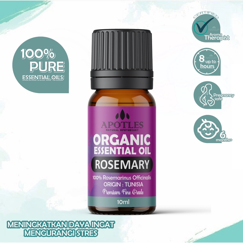 Rosemary Essential Oil - Minyak Aromaterapi Rosemari Essential Oil Rosemary 10ml