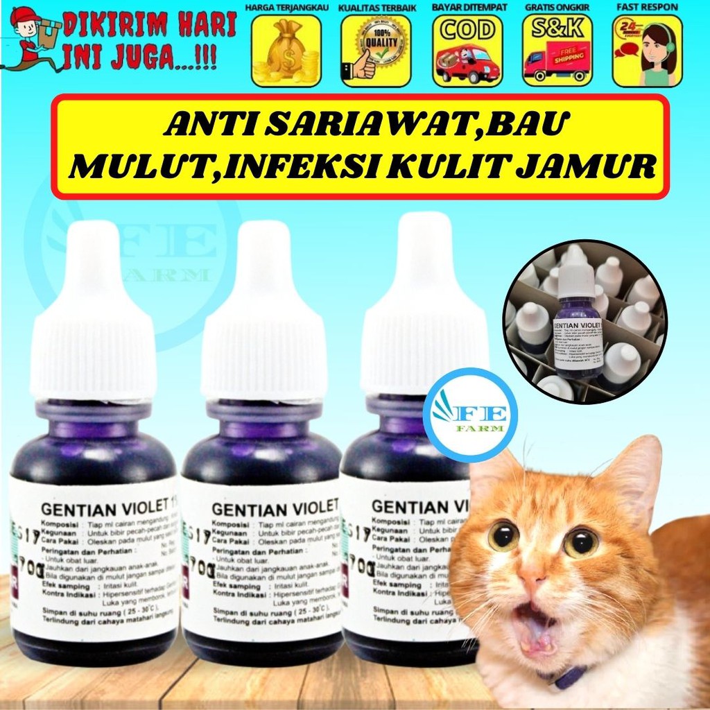 Obat Sariawan Kucing Gusi Berdarah Mulut Kucing Bau Tidak Sedap FEFARM