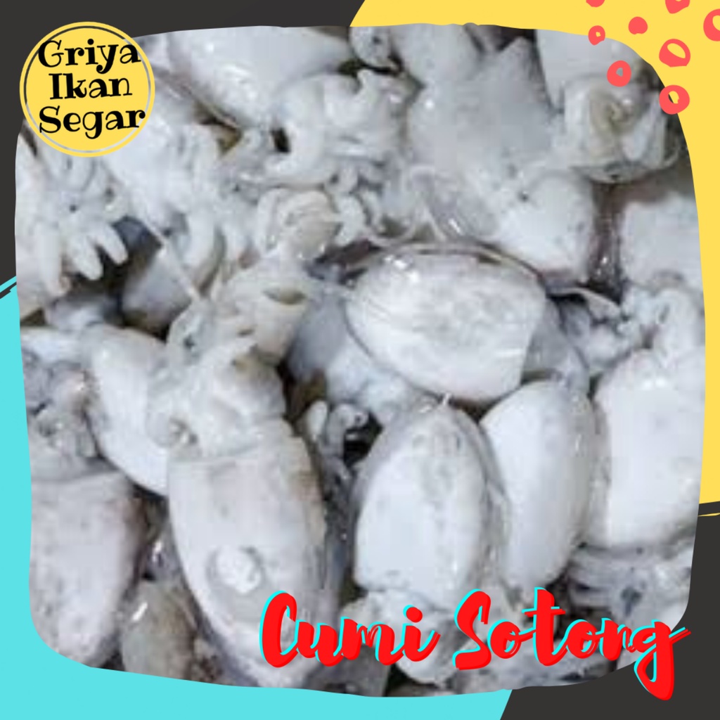 

CUMI SOTONG Size Kecil