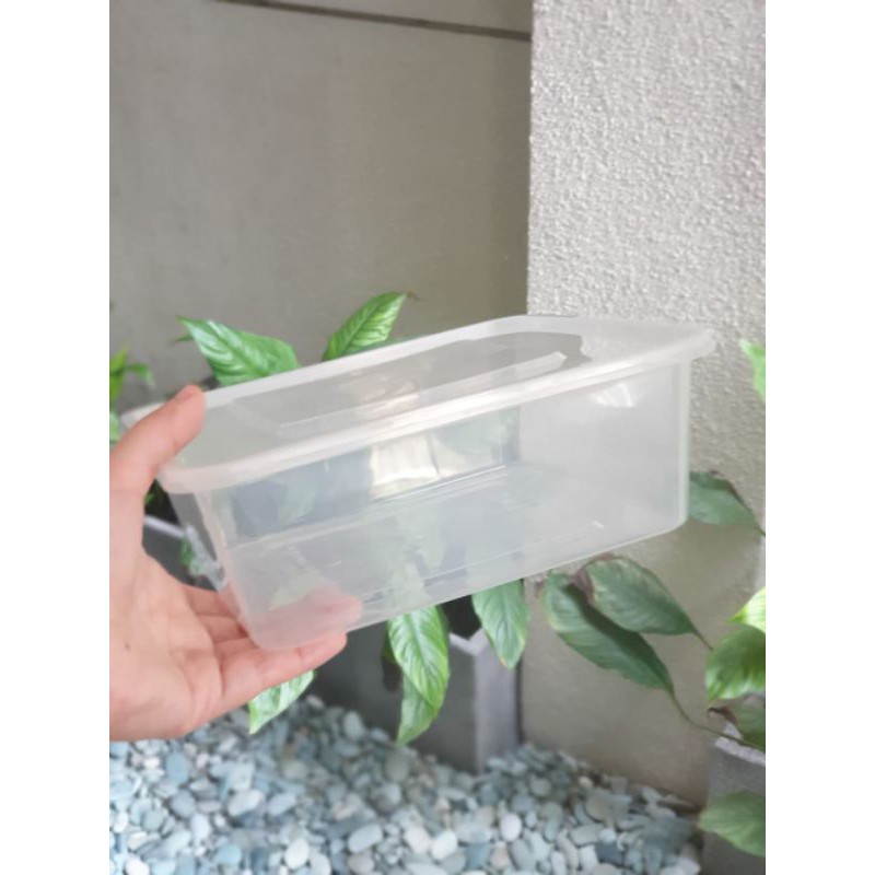 Thinwall Square Victory 2000ml / Thinwall Kotak 2000ml. Isi 25pcs