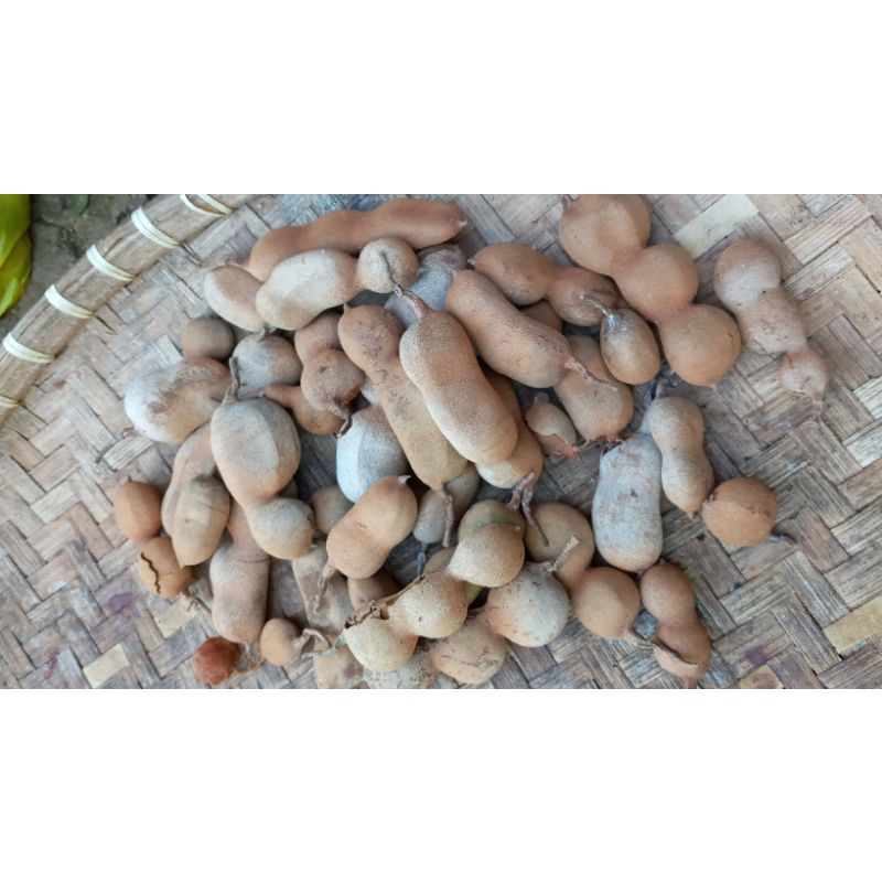 

Asam Jawa Asli 100 % Thamarind