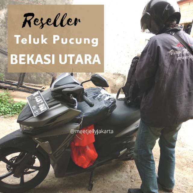 

Meet Jelly / Reseller Meet Jelly / Paket Reseller Meet Jelly