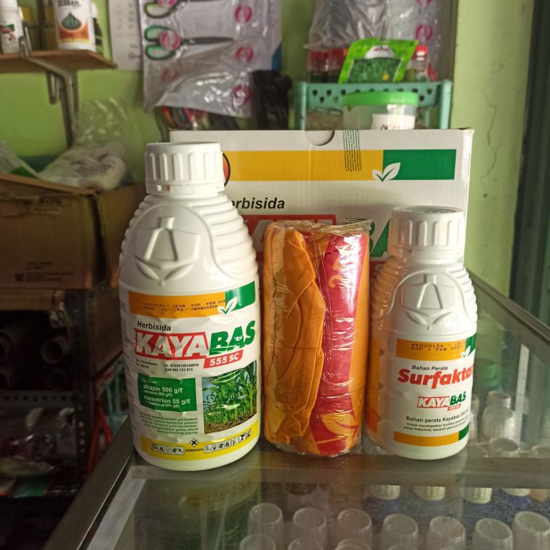 HERBISIDA KAYABAS 555 SC 1 LITER + PERATA 400 ML PEMBASMI GULMA PADA JAGUNG FREE KAOS