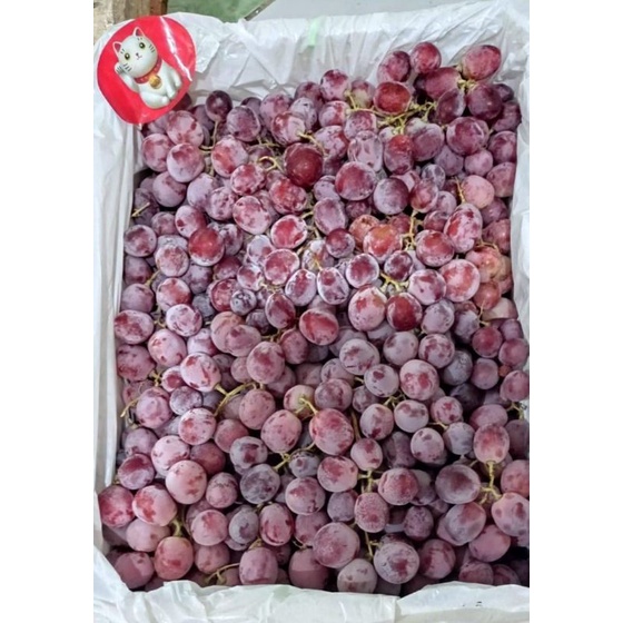 

anggur