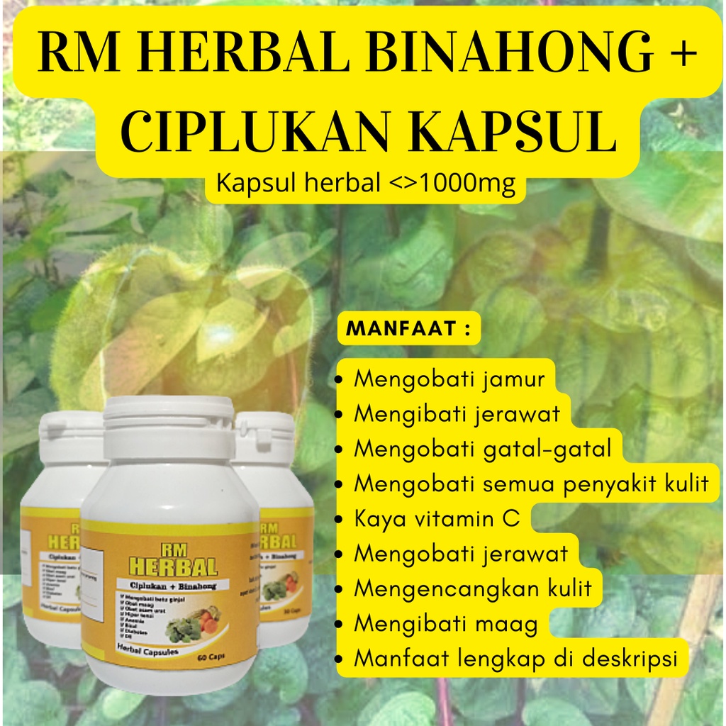RM HERBAL BINAHONG KAPSUL + CIPLUKAN KAPSUL || KAPSUL BINAHONG + KAPSUL CIPLUKAN