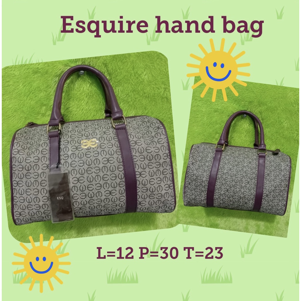 Esquire purple hand bag (RO.0206)