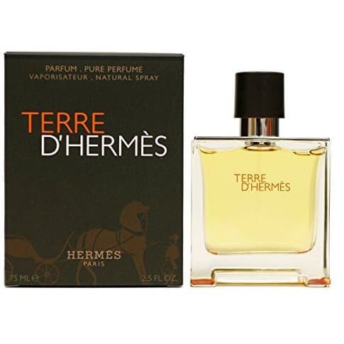 Parfum Pria Original Terre D Hermes EDP 75 Ml - Un Box