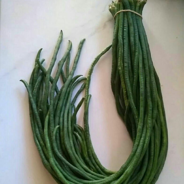 

Kacang Panjang 500 gr