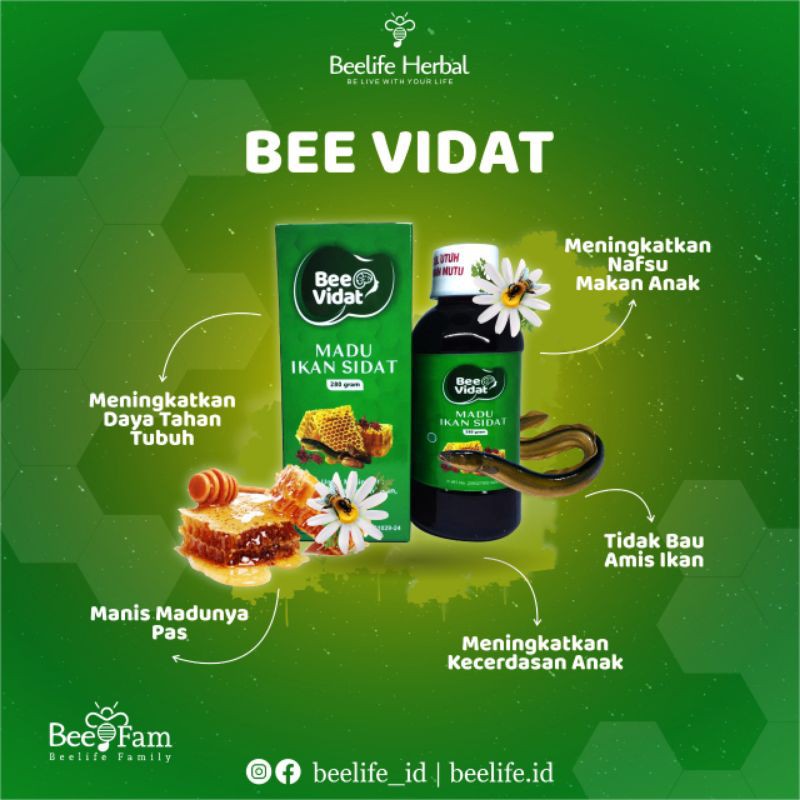 Madu Bee Vidat nafsu makan anak minyak ikan sidat