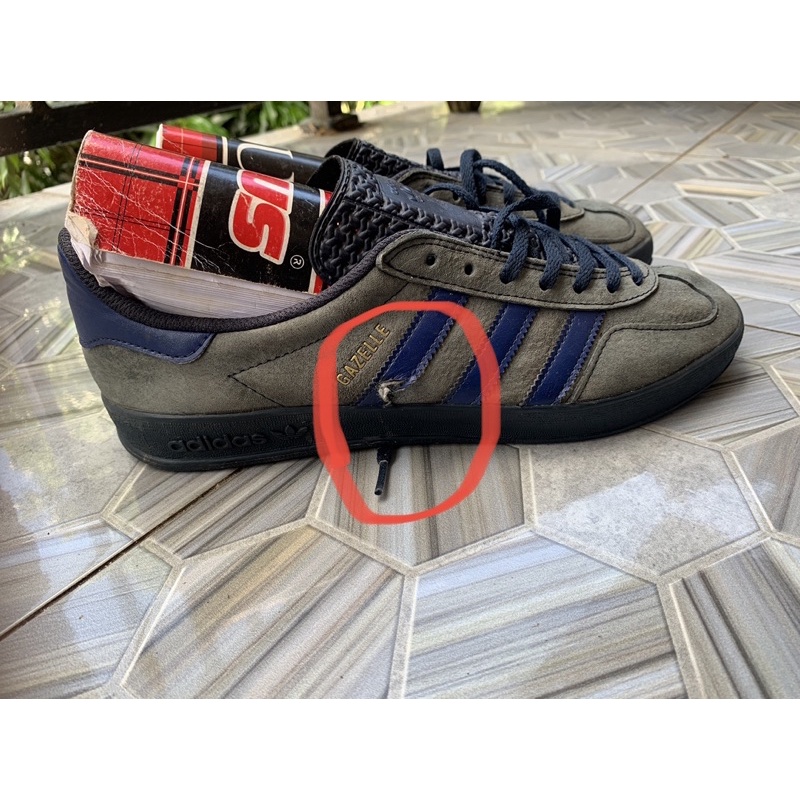 gazelle indoor blue marine