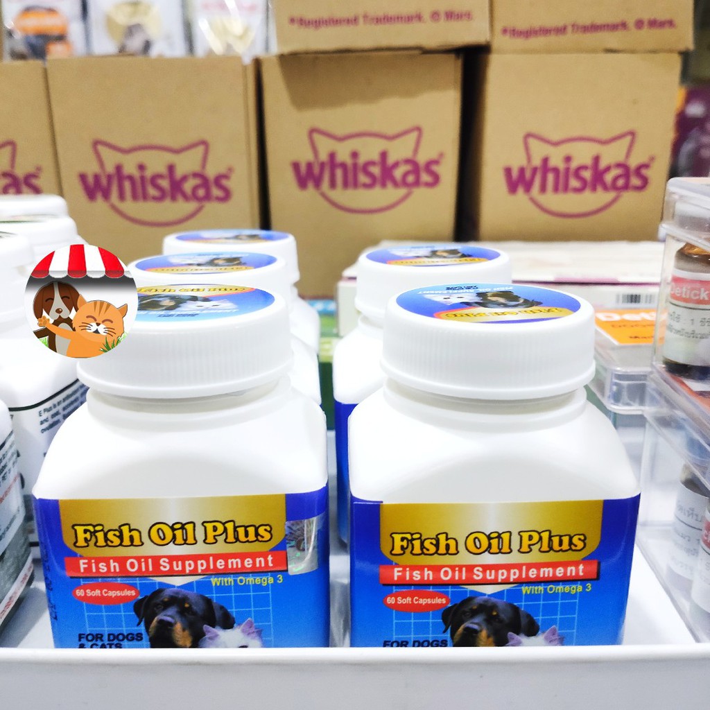 Suplemen Minyak Ikan_Raid All Fish Oil Plus Dog &amp; Cat_60 kapsul