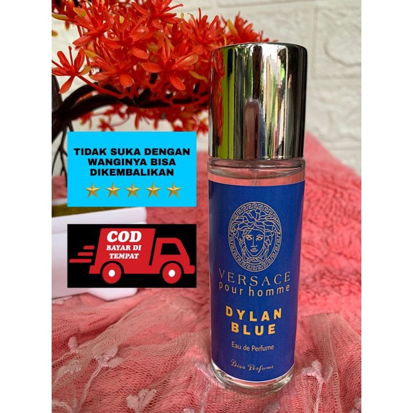 VERSACE DYLAN BLUE - inspired parfum