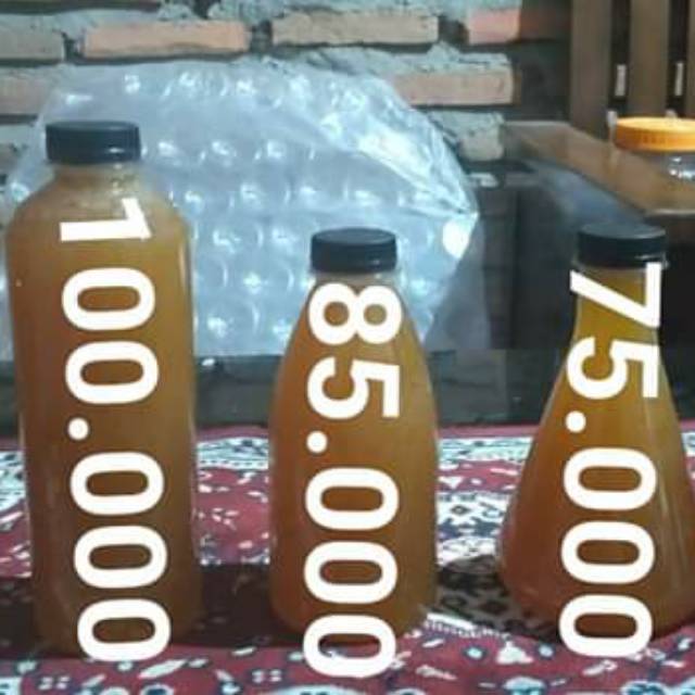 

Madu hutan asli sultra