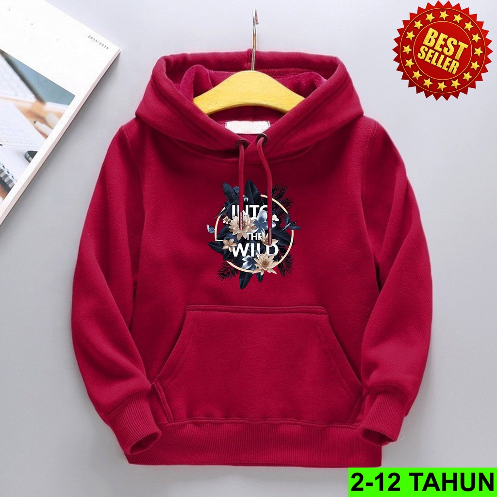 Hoodie Anak Laki Laki Perempuan / Hodie Anak Usia 2 3 4 5 6 7 8 9 10 11 12 Tahun / Jaket Anak Cewek Cowok Sweater Anak