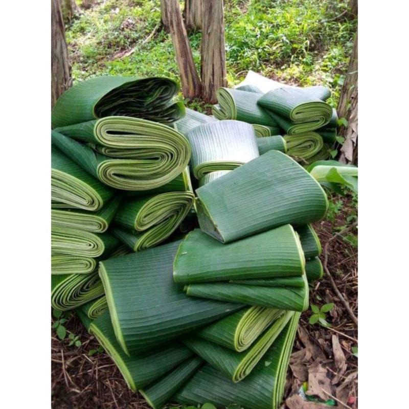 

Daun Pisang Fresh Perlembar/Perikat