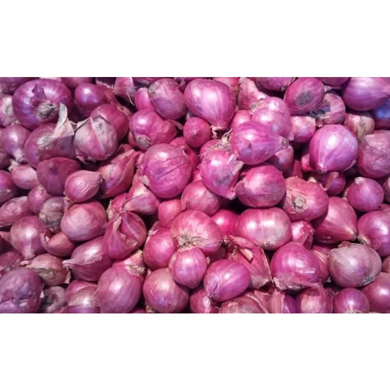 

Bawang merah brebes besar 250 gr