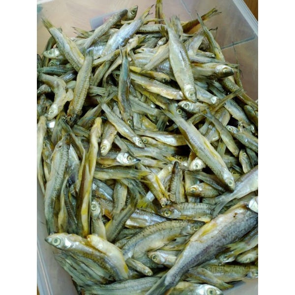 

ikan asin saluang 1kg