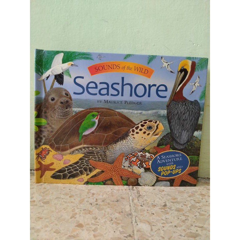 Sound of the wild Seashore