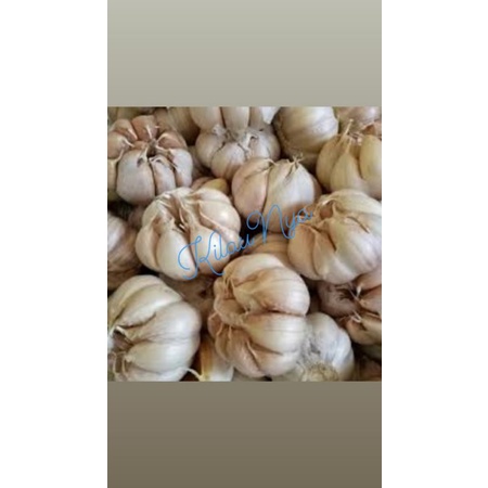 

Bawang putih