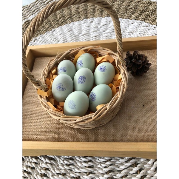 

Telur Asin isi 10 murah enak