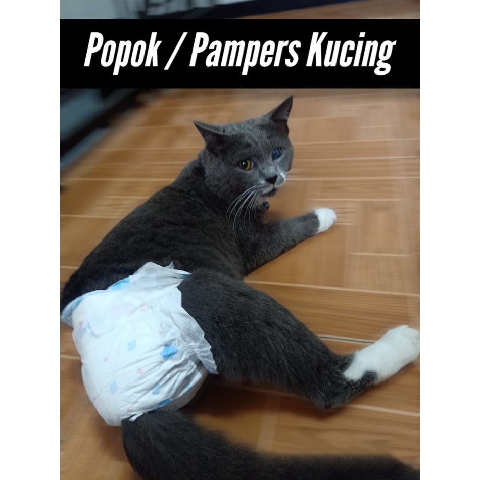 Jual Pampers Kucing / Diapers Kucing / Popok Kucing Anjing atau Monyet