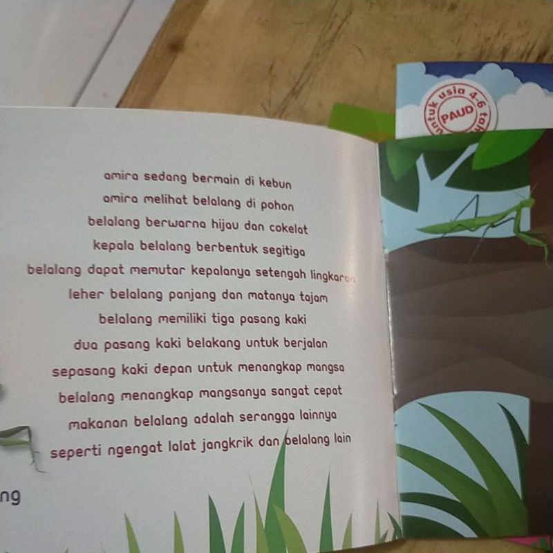 ORI buku TK paud aku tahu hewan serangga penerbit mediantara