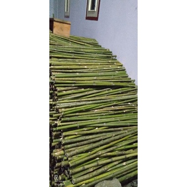 BAMBU CENDANI T 1 MTR