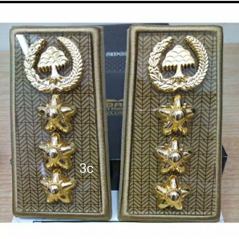 pangkat asn golongan 3c/pangkat PNS golongan 3c masing" daerah